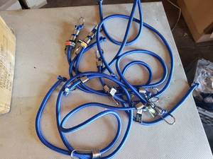 lot 137 image: Lot of 6 - 72 x 12 Elastic Cords