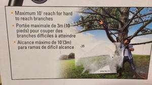 lot 129 image: Worx 10 Pole SawChain Saw Combo