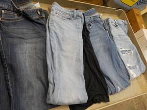 American Eagle, Levi and Maurices ...