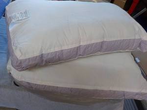 2 Standard Size Pillows...