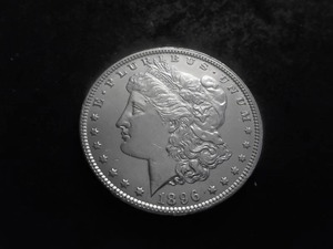 1896 Morgan Silver Dollar