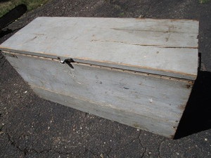 lot 13 image: Primitive Live Well