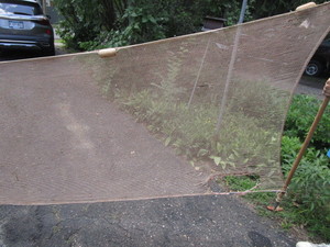lot 73 image: Seining Net