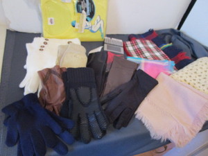 lot 190 image: Gloves, Scarves, Thermal Shirt