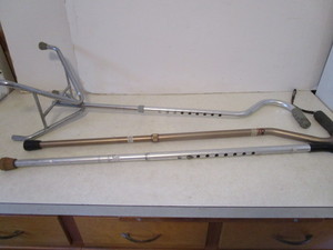 lot 256 image: Canes