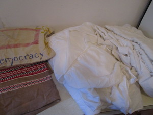 lot 259 image: Twin Bed & Pillow Covers