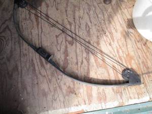 lot 316 image: Sun Bear Compound archery bow
