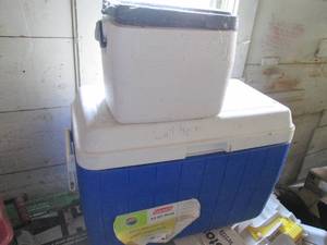 lot 135 image: Coleman 48qt plus insulated cooler