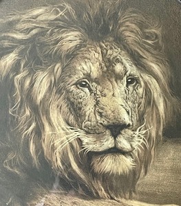 lot 415 image: Vintage Framed Lion Print