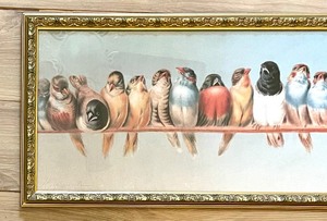 lot 417 image: A Perch of Birds Framed Print by Hector Giacomelli