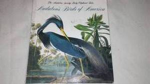 lot 349 image: Audubons Birds of America Book.