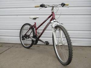 lot 233 image: Raleigh EVA 24 Mountain Bike