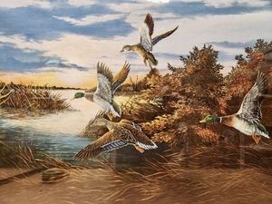 lot 310 image: Framed Signed Artist Proof WIldlife Print by Donald Blakney - Morning Mallards
