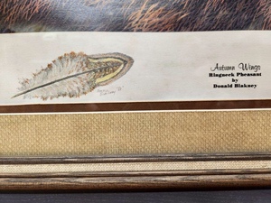lot 311 image: Framed Signed Artist Proof WIldlife Print by Donald Blakney - Autumn Wings