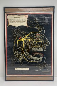 lot 354 image: Wonderful Vintage 1930s Medical  Dental Advertising Poster - Novocol