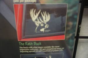 lot 171 image: DeerCals White Tail Trophy Buck Large Decal The Rath Buck