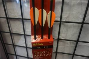 lot 58 image: Allen Model 9026  3 Pack Youth 26 Fiberglass Target Arrows