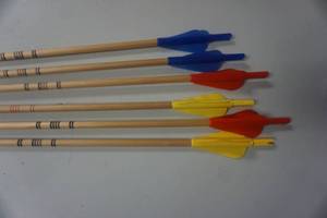 lot 65 image: 6 - 28 Cedar Target Arrows