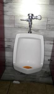 lot 163 image: Urinal, toilet and toilet paper dispenser