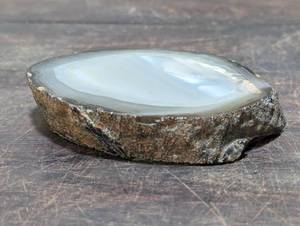 Polished Agate Coaster