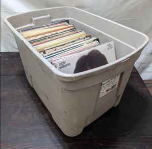 Large Collection Of Misc. Records