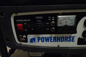 Powerhorse 4000W Gas Generator
