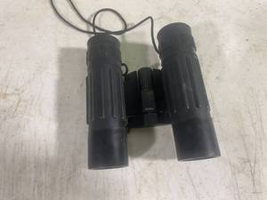 lot 85 image: Far Binoculars 10 x 25