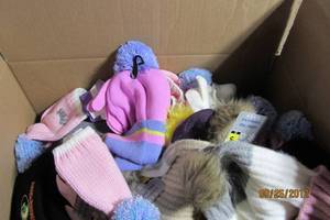 Bulk Caps and Gloves MensWomensKids
