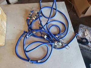 Lot of 6 - 72 x 12 Elastic Cords