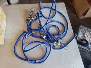 Lot of 6 - 72 x 12 Elastic Cords