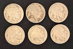22 United States Buffalo Nickels