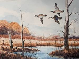 Framed Duck Print by Raedeke