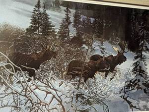 Framed Moose Print by Wayne Meineke