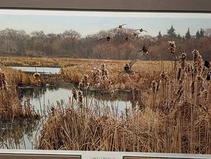 Framed Lake Cornelia Print by Wayne Meineke