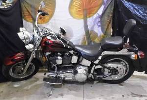 lot 1 image: Hop on this Hog to Live and Ride fr...
