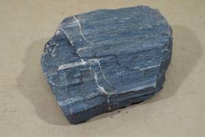lot 81 image: Petrified Wood Stone - 4 Pounds