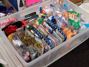 lot 325A image: Lot of  Beanie Baby Collectibles