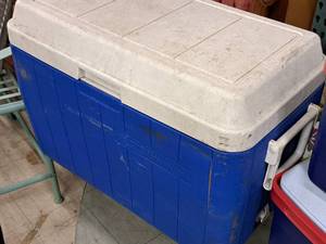 lot 147 image: Lot of (1) Coleman Plastic Personal Cooler