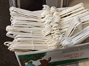 lot 233 image: Lot of (1 Box) Plastic Hangers