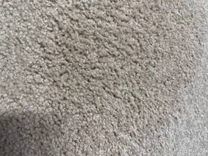 250 SF Mohawk Carpet REM- Timeless Idea - Fortune Cookie