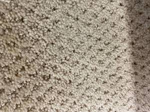 200 SF Dreamweaver Carpet REM 12x16 9