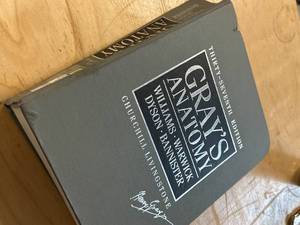 lot 52 image: Greys Anatomy