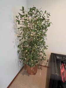 Lighted Faux Tree