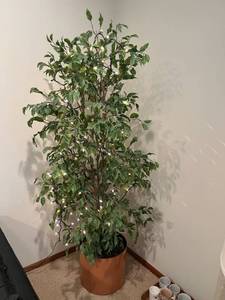 Lighted Faux Tree