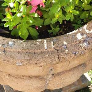 lot 77 image: Large Concrete Urn Planter