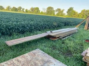 lot 100 image: Pallet of Micro Lambs, longest is 24 the rest are 10-14 long.  All are 12 x 16 wide