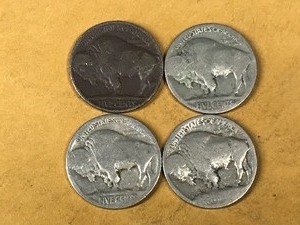 lot 148 image: 4 - Buffalo Head Nickels