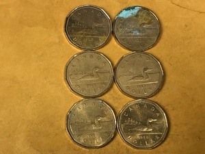 lot 150 image: 6 - Canadian One dollar Coins