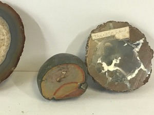 lot 495 image: Lot of polished rocks with agates