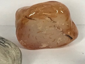 lot 553 image: Lot of polished rocks